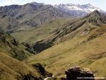 New_Zealand_121
