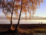 New_Zealand_125