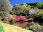 africa_059