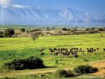 africa_076