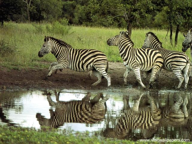 africa_079