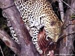 africa_092
