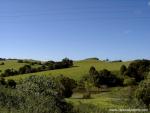 Australia_131