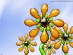 Flower_035