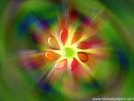Flower_037