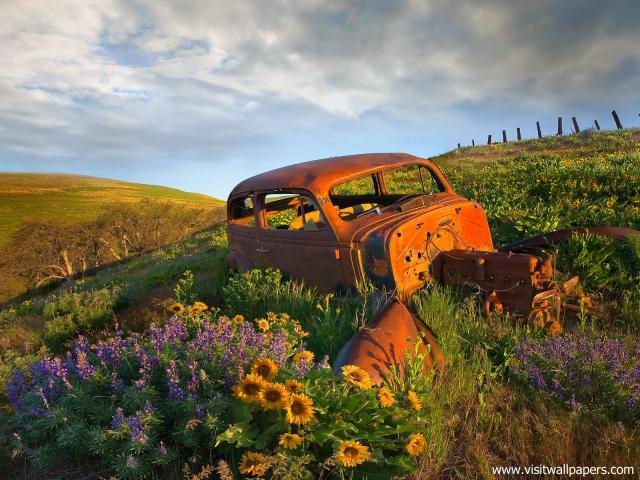 Dalles_Hills_Washington_01