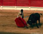 bullfight_03