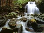 waterfalls_231