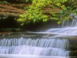 waterfalls_248