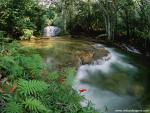 waterfalls_249