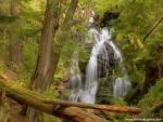 waterfalls_278