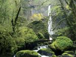 waterfalls_291