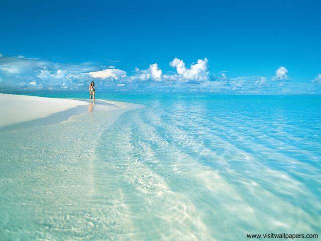 Beachside_Stroll