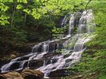 waterfalls_307