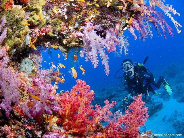 Scuba_Diving_04