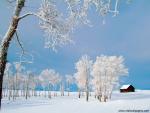 Woodsy_Cabin