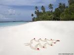 Tropical_Christmas