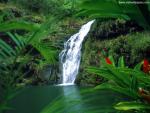 waterfalls_333