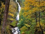 waterfalls_334