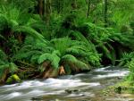 Parks_167