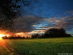 England_065