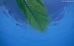 Beaches_014