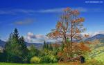 Nature_231