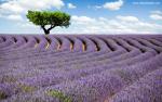 Nature_269