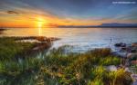 Nature_295