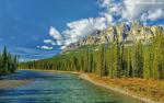 Nature_296