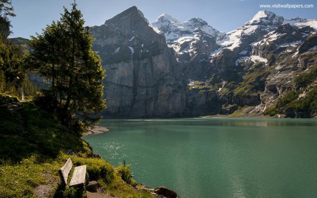 Nature_322