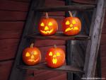 Jack-o-Lanterns_Finland