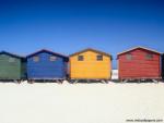 Beach_Houses_01