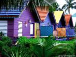 Beach_Houses_03