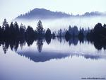 Morning_Mist_01