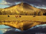 mountains_271