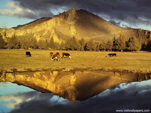 mountains_271
