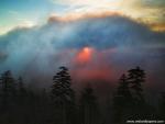 Foggy_Sunrise_03