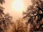 Foggy_Sunrise_07