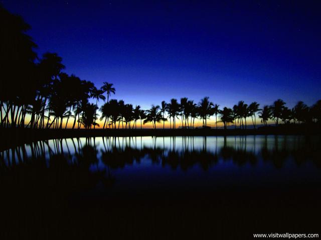 tree_235