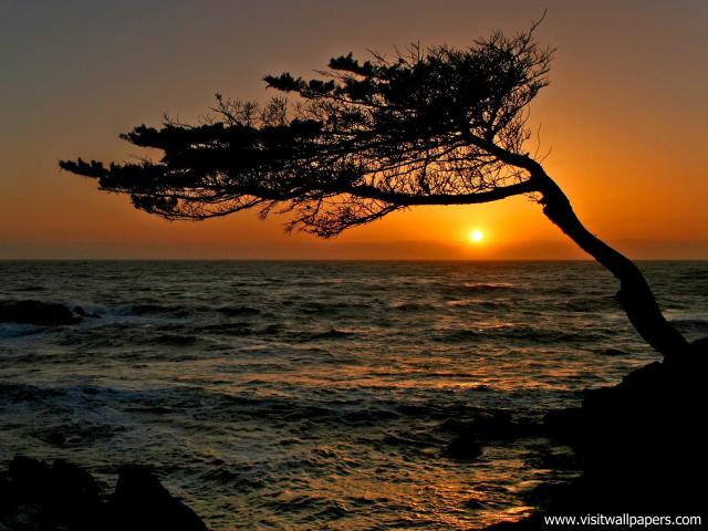 Carmel_Sunset_California_01