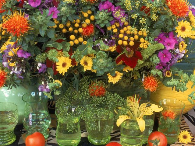 Garden_Variety