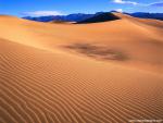 Desert_16