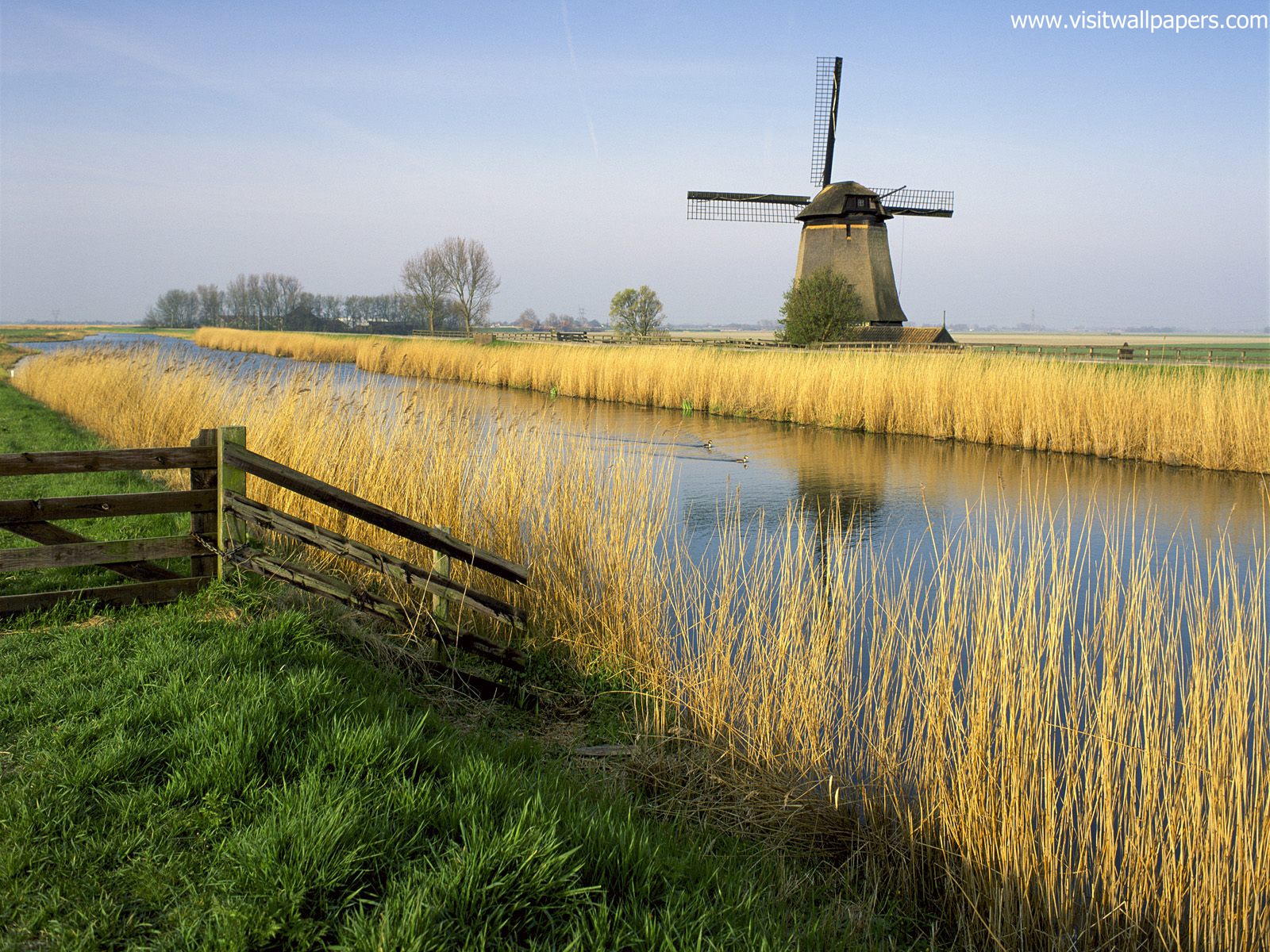 Windmill_06