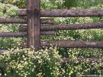 Parks_232