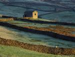 England_098