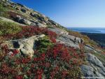 Parks_288