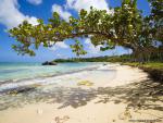 Beaches_092