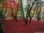 England_114
