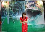 cn_newyear14_11